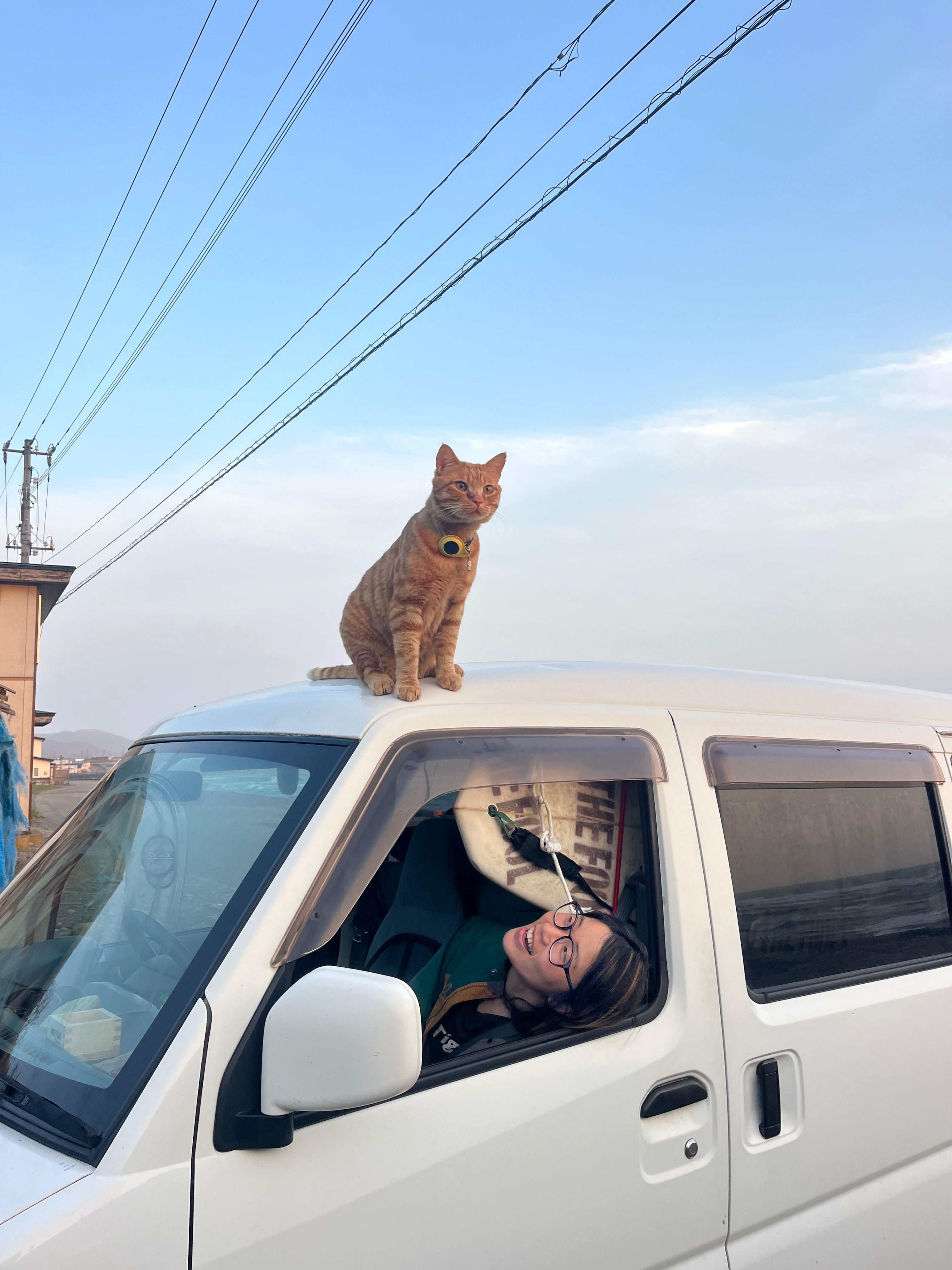 白いバンから笑顔を見せる Ayaka と、青空の下で屋根に座るオレンジ色の猫